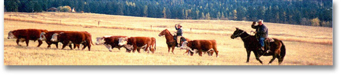 Oberg Brothers Natural Beef